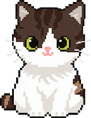 小猫